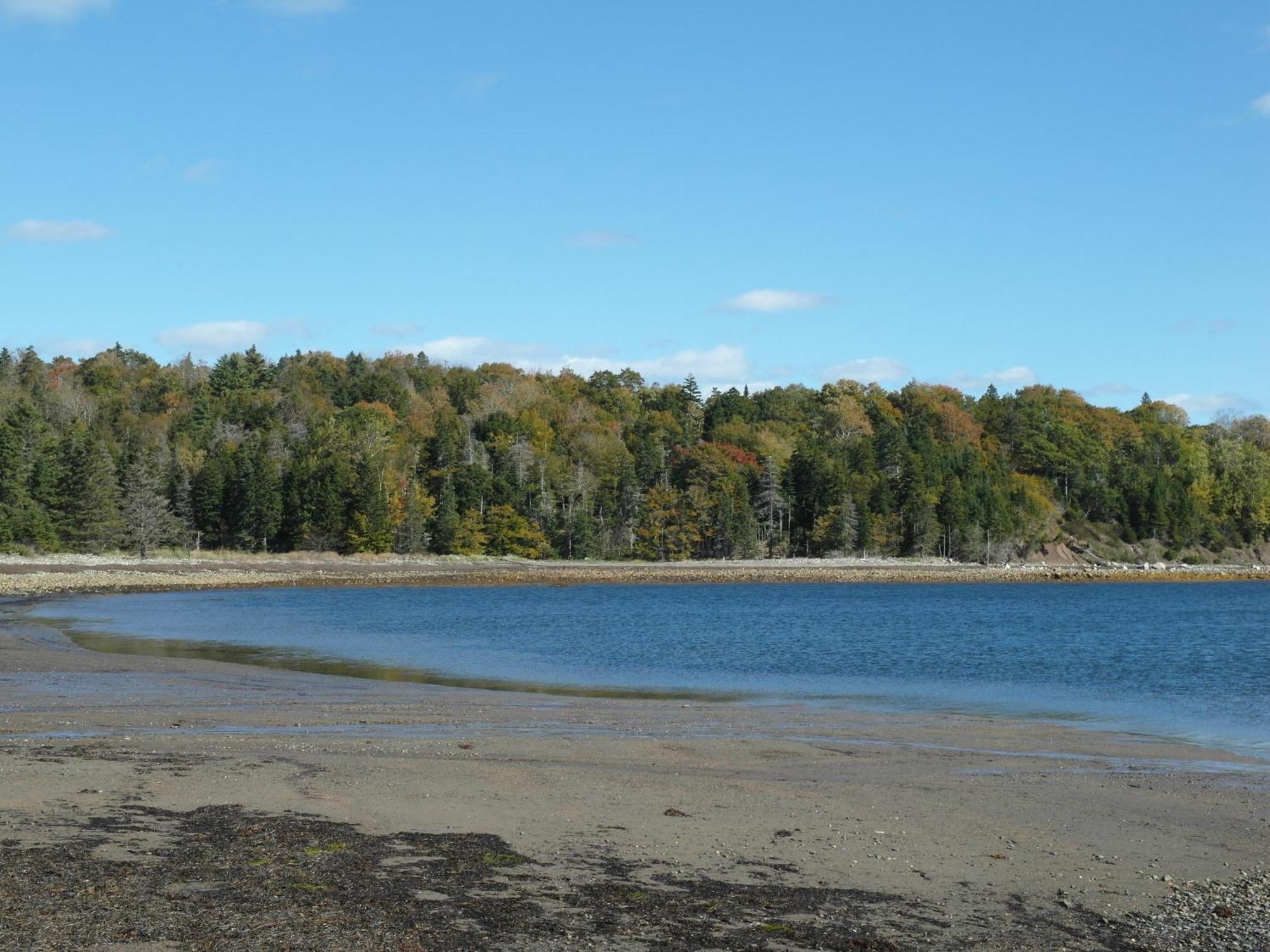 Atlantic View Motel Lunenburg Εξωτερικό φωτογραφία