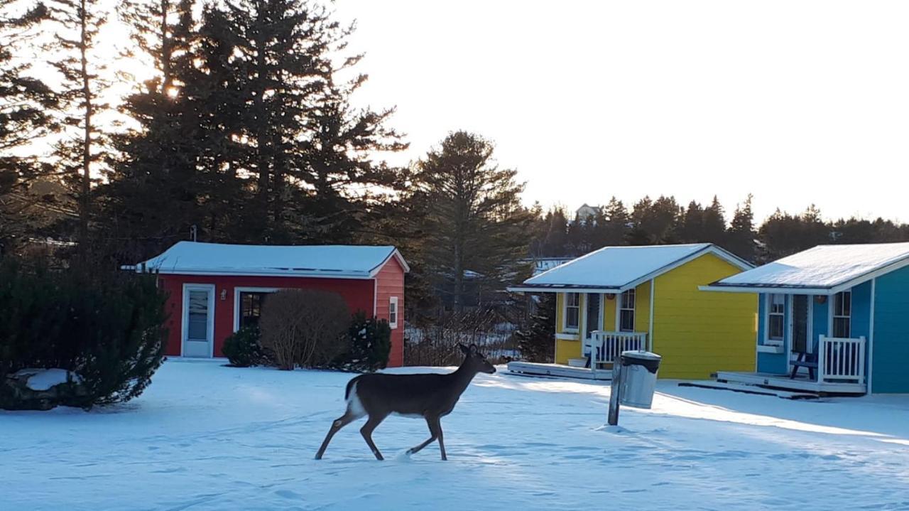 Atlantic View Motel Lunenburg Εξωτερικό φωτογραφία